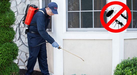Serik Böcek İlaçlama böcek ilaçlama ve haşere kontrolü — ilaclama-tr.com